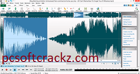 Wavepad Sound Editor Crack
